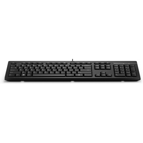 HP 125 Wired Keyboard 266C9AA Cheap